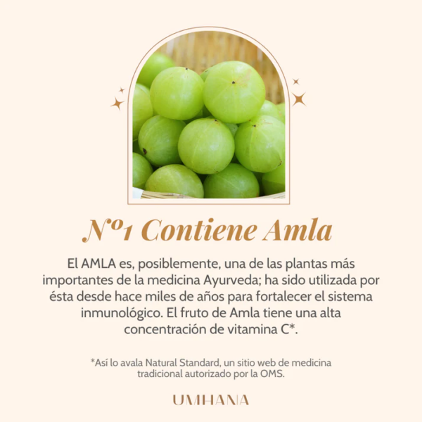 Immunity Boost: Mezcla para fortalecer el sistema inmune - Image 5