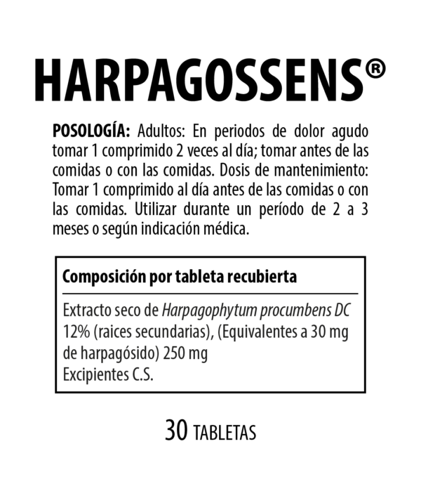 #!trpst#trp-gettext data-trpgettextoriginal=6262#!trpen#HARPAGOSSENS - Image 2#!trpst#/trp-gettext#!trpen#